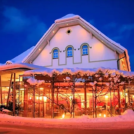 Hotel-restaurant-cafe Krainer Hotel 4*