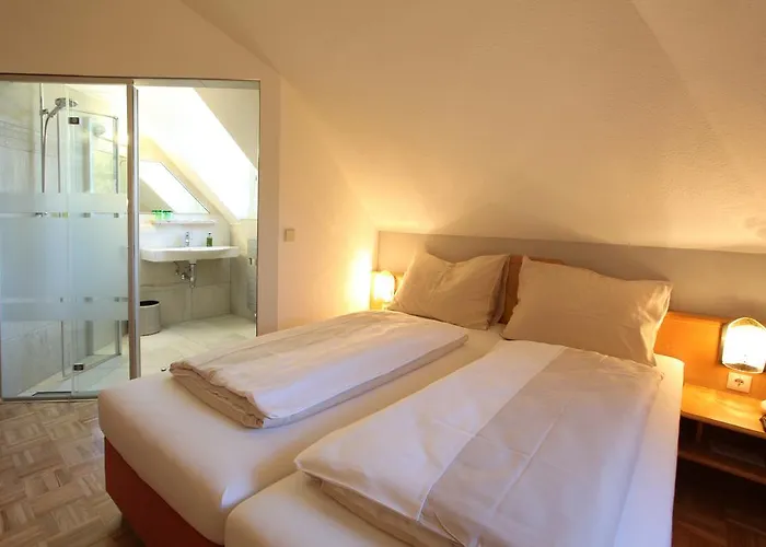 克莱纳酒店-餐厅-咖啡厅 4* 朗根旺