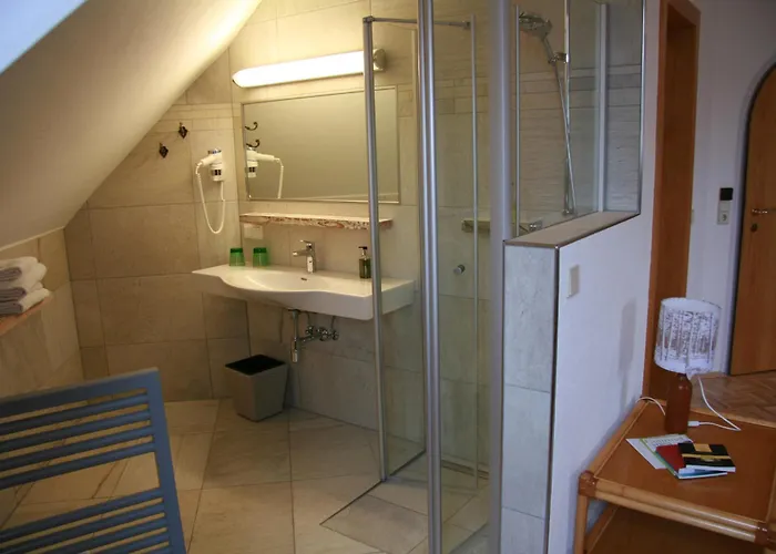 克莱纳酒店-餐厅-咖啡厅 4* 朗根旺